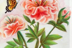 02-Price-John-124042-FL-Carnations-web-rotated