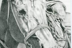 Freeman-James-01654627-TX-scaled