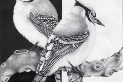 Martinez-Richard-41566-TX-Blue-Jays-rotated